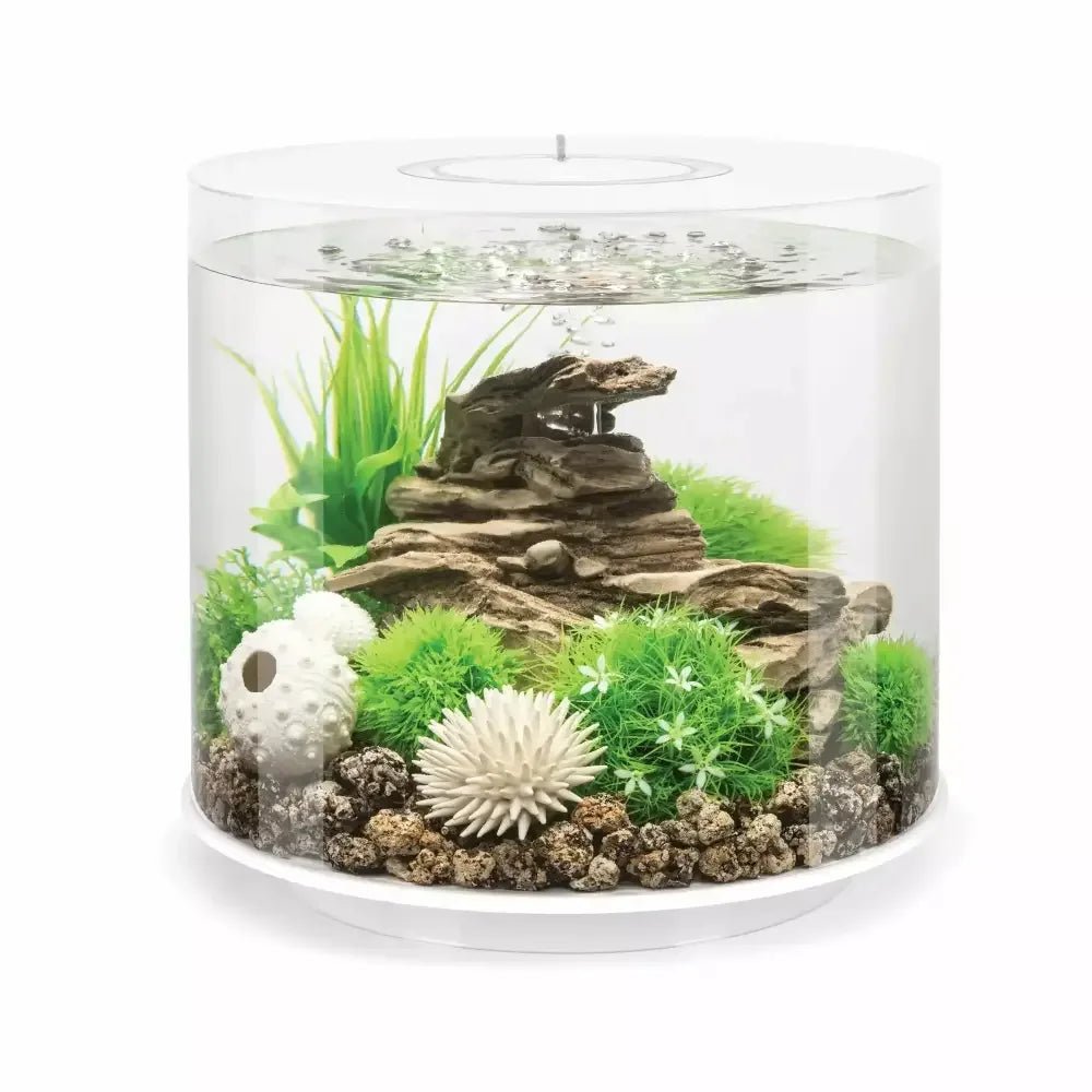 biOrb TUBE 15 Aquarium with MCR Light 4 gallon - Talis Us