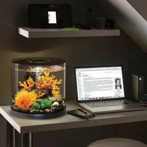 biOrb TUBE 15 Aquarium with MCR Light 4 gallon - Talis Us