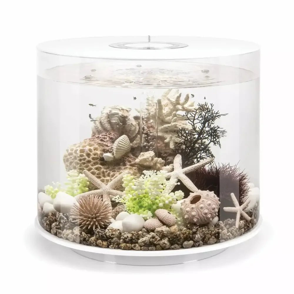 biOrb TUBE 35 Aquarium with MCR Light 9.2 gallon - Talis Us