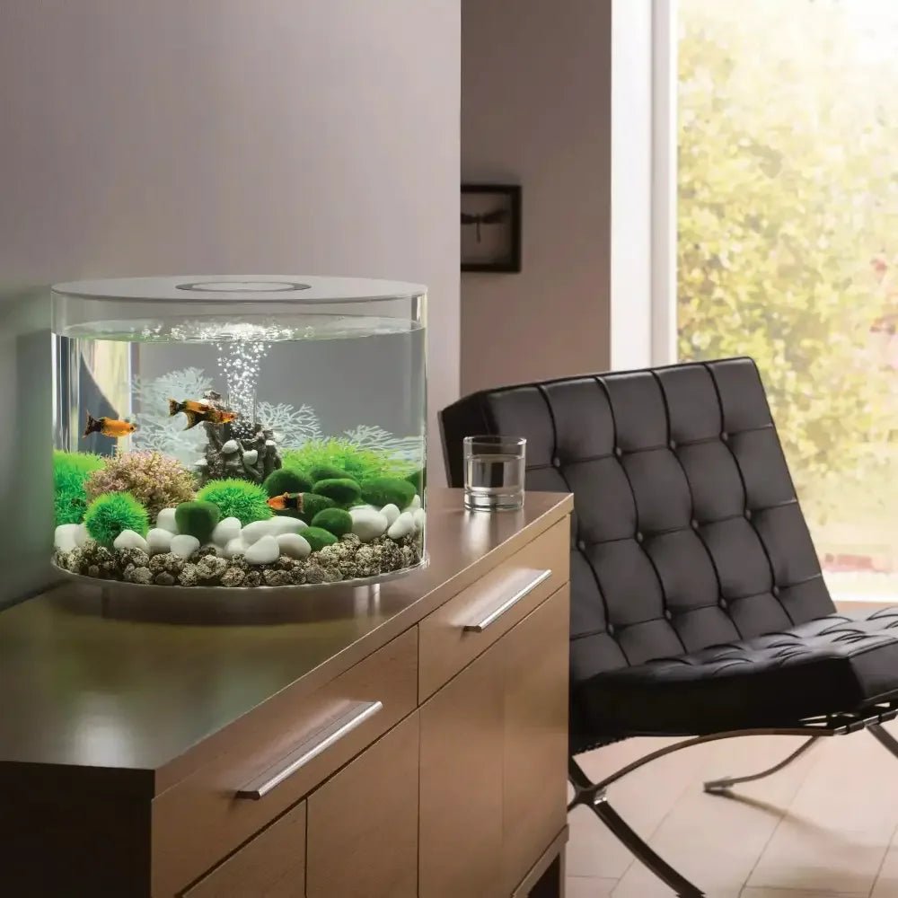 biOrb TUBE 35 Aquarium with Standard Light 9.2 gallon - Talis Us