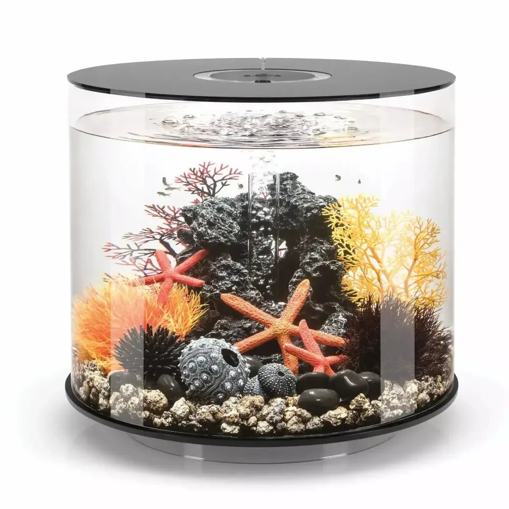 biOrb TUBE 35 Aquarium with Standard Light 9.2 gallon - Talis Us