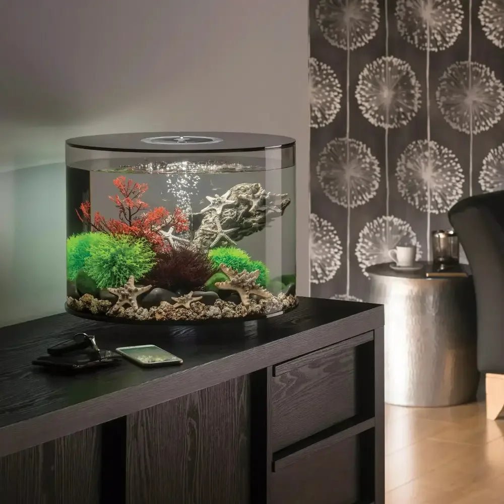 biOrb TUBE 35 Aquarium with Standard Light 9.2 gallon - Talis Us