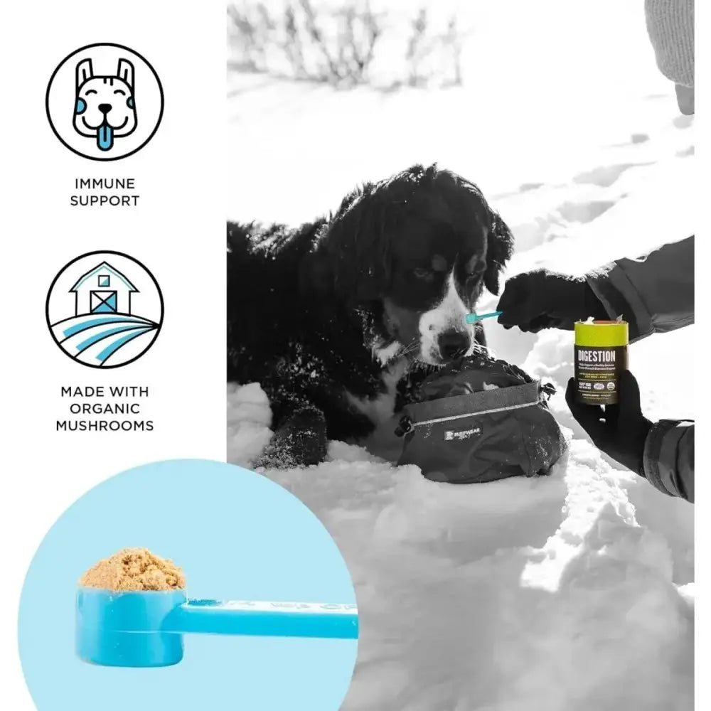 BIXBI Immunity Pet Superfood Daily Mushroom Powder Supplement for Dogs & Cats 2.12oz - Talis Us