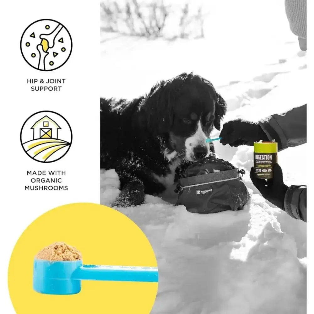 BIXBI Joints Pet Superfood Daily Mushroom Powder Supplement for Dogs & Cats 2.12 oz - Talis Us