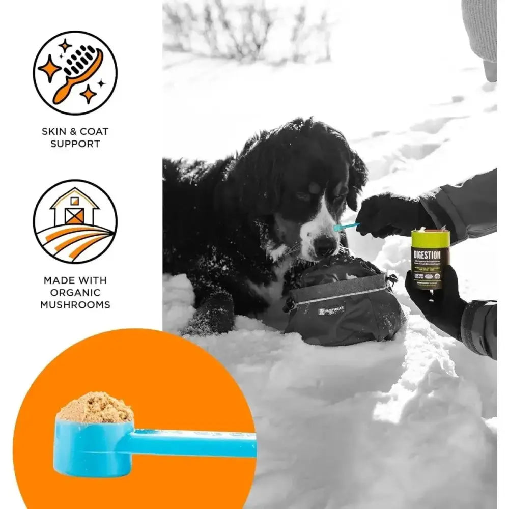 BIXBI Skin & Coat Pet Superfood Daily Mushroom Powder Supplement for Dogs & Cats 2.12 oz - Talis Us