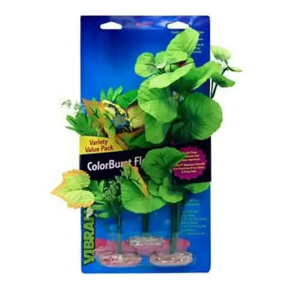 Blue Ribbon Colorburst Florals Broad Leaf Flower Cluster Variety Pack 3 Plants Blue Ribbon Pet