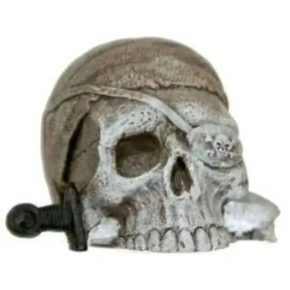 Blue Ribbon Exotic Environments Sunken Pirate Skull Mini Blue Ribbon Pet