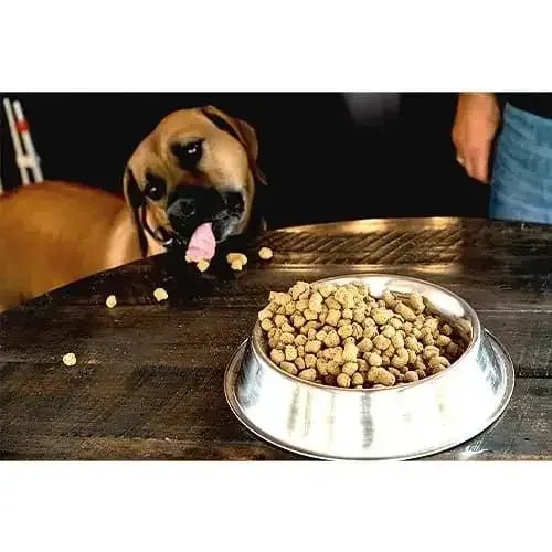 Boss Dog® Complete & Balanced Freeze Dried Raw Diet Dog Food 12 Oz - Talis Us