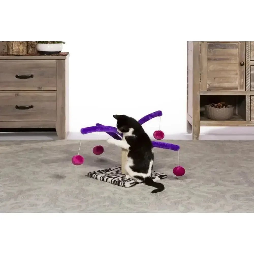 Bounce 'n Spring - Talis Us