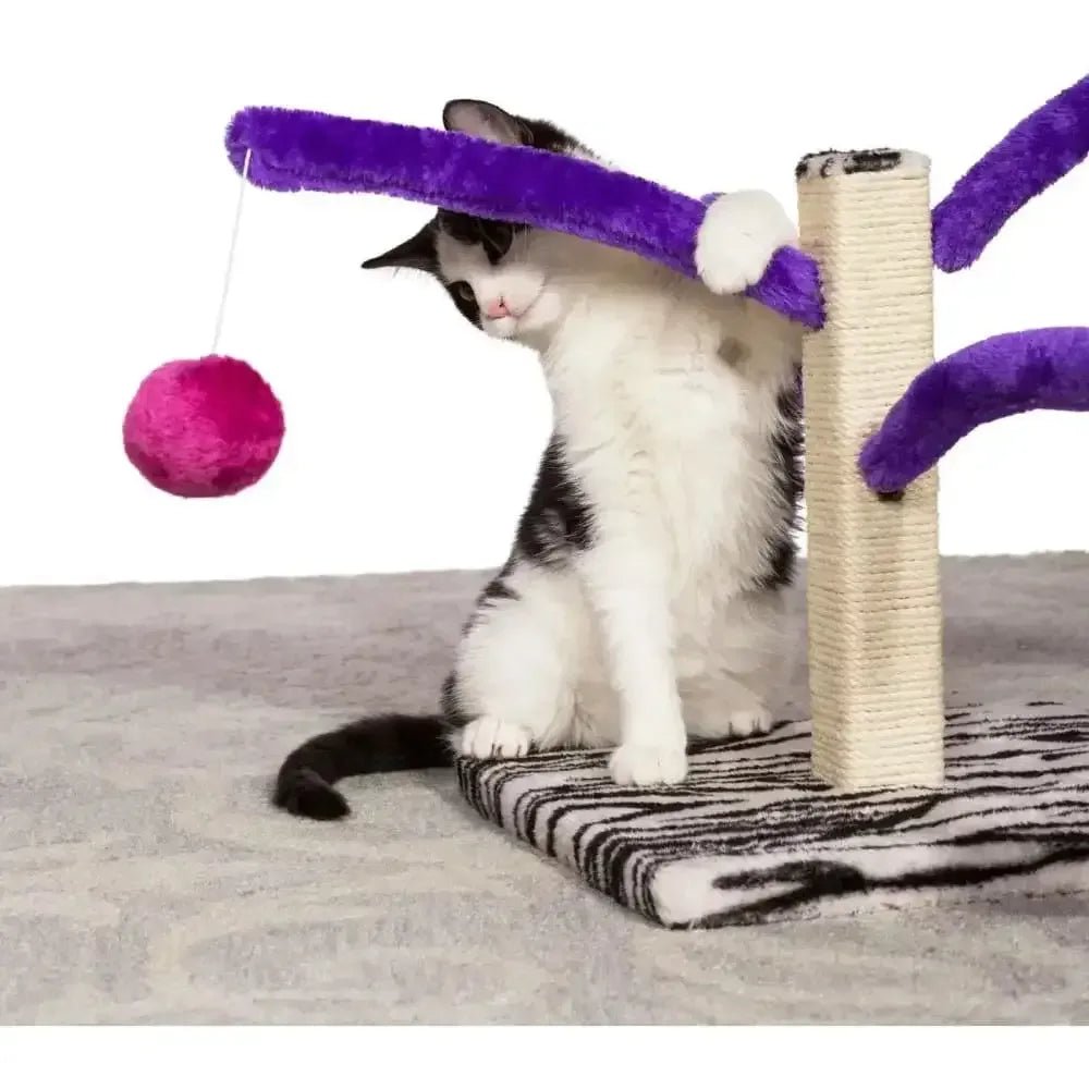 Bounce 'n Spring - Talis Us