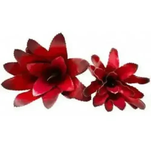 bromeliads Plants Enclosure Decor Tank Decoration Habitat Aquarium Accessories luga