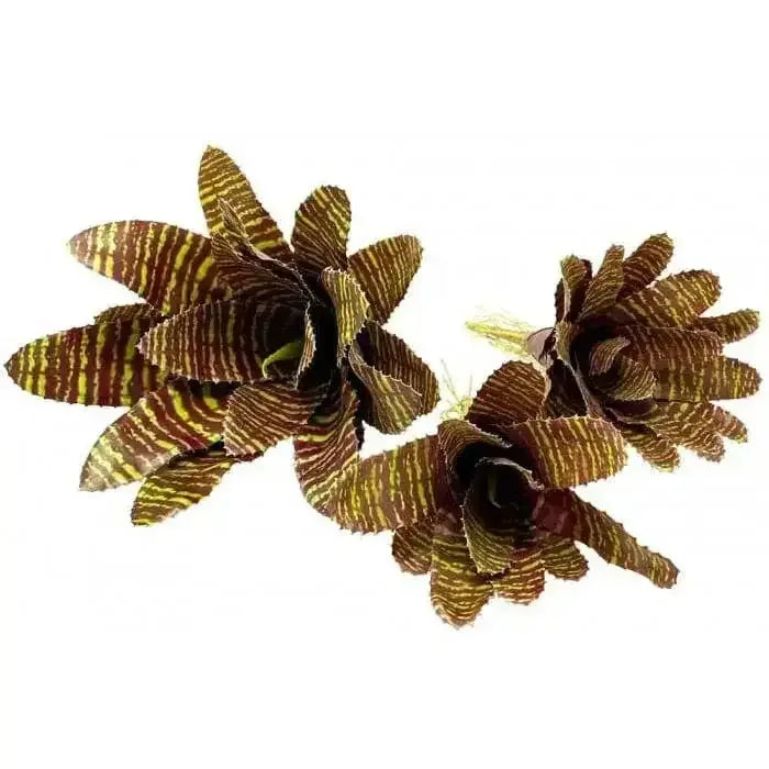 bromeliads Plants Enclosure Decor Tank Decoration Habitat Aquarium Accessories luga