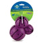 Busy Buddy Barnacle Dog Toy Purple Busy Buddy CPD