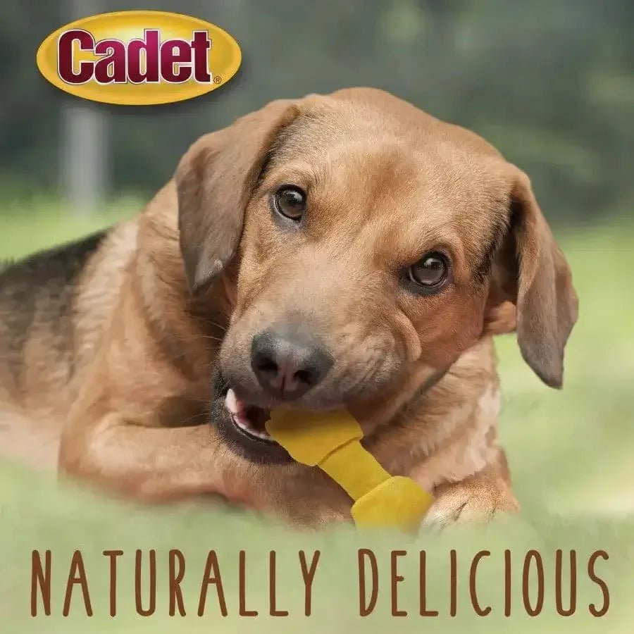 Cadet Beef Hide Knotted Dog Chews 4 - 5 in, 1 lb - Talis Us