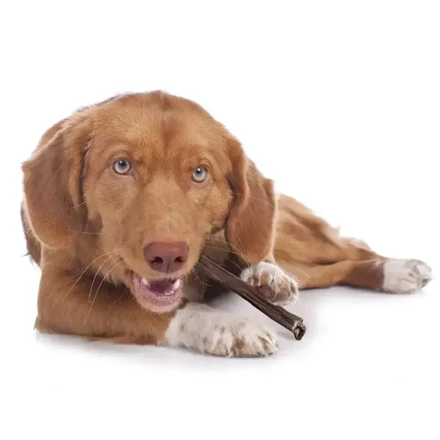 Cadet Beef Sticks for Dogs 12 oz - Talis Us