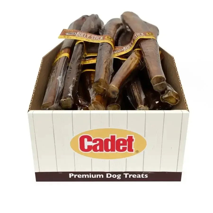 Cadet Bully Sticks Display Dog Chews - Talis Us