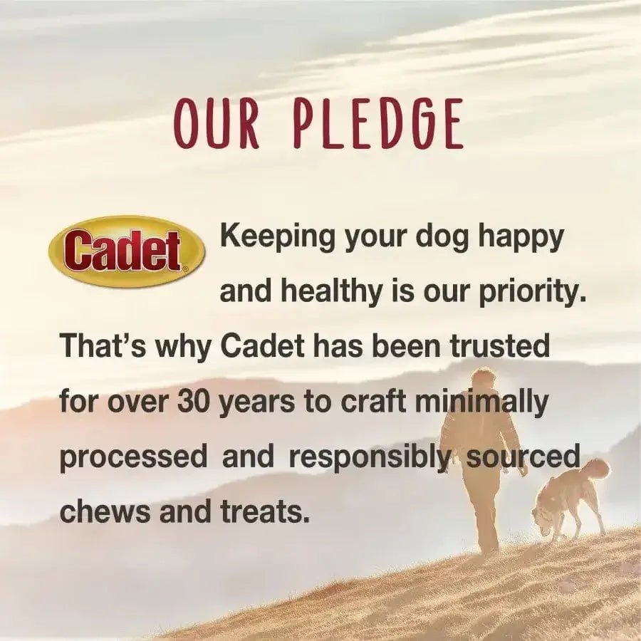 Cadet Bully Sticks Display Dog Chews - Talis Us