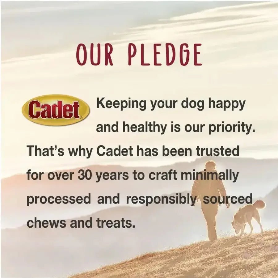 Cadet Bully Sticks Dog Treats - Talis Us