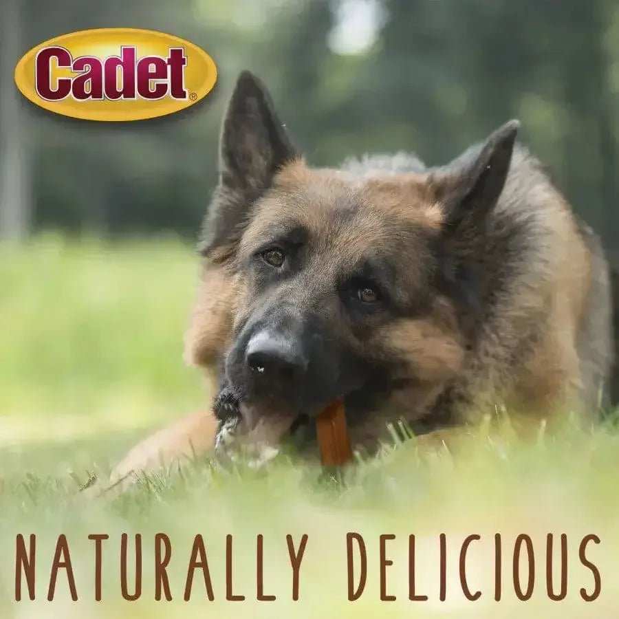 Cadet Bully Sticks Dog Treats - Talis Us