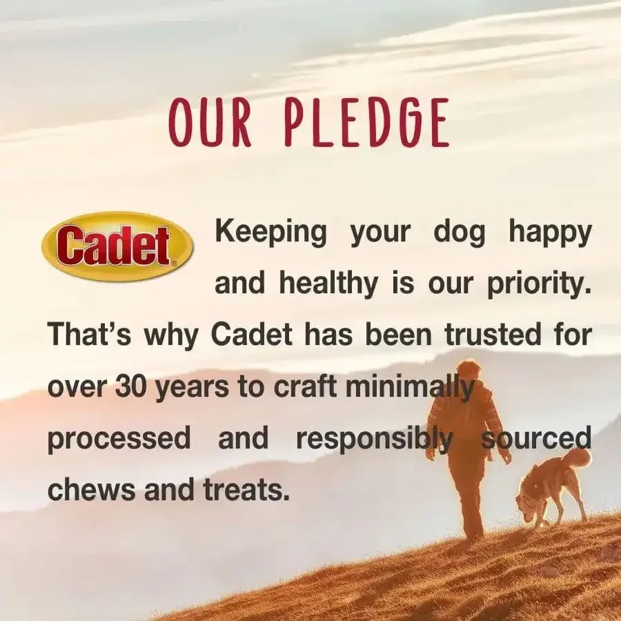 Cadet Farm to Paws Beef Rib Bones Natural Dog Chews - Talis Us