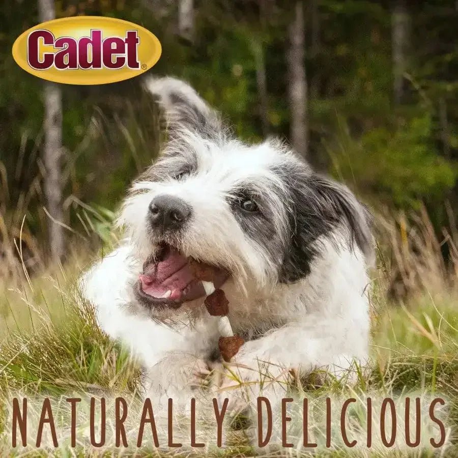 Cadet Gourmet Beef Hide Shish Kabob Dog Treats - Talis Us