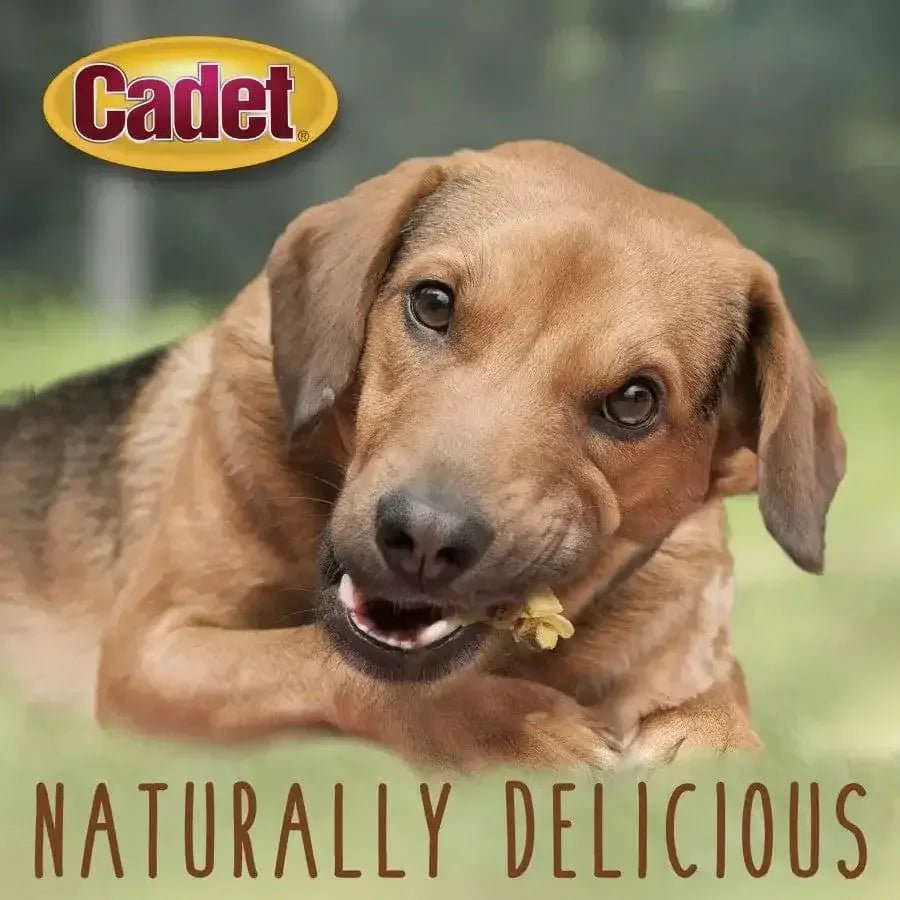 Cadet Gourmet Chicken & Apple Wrapped Dog Treats - Talis Us