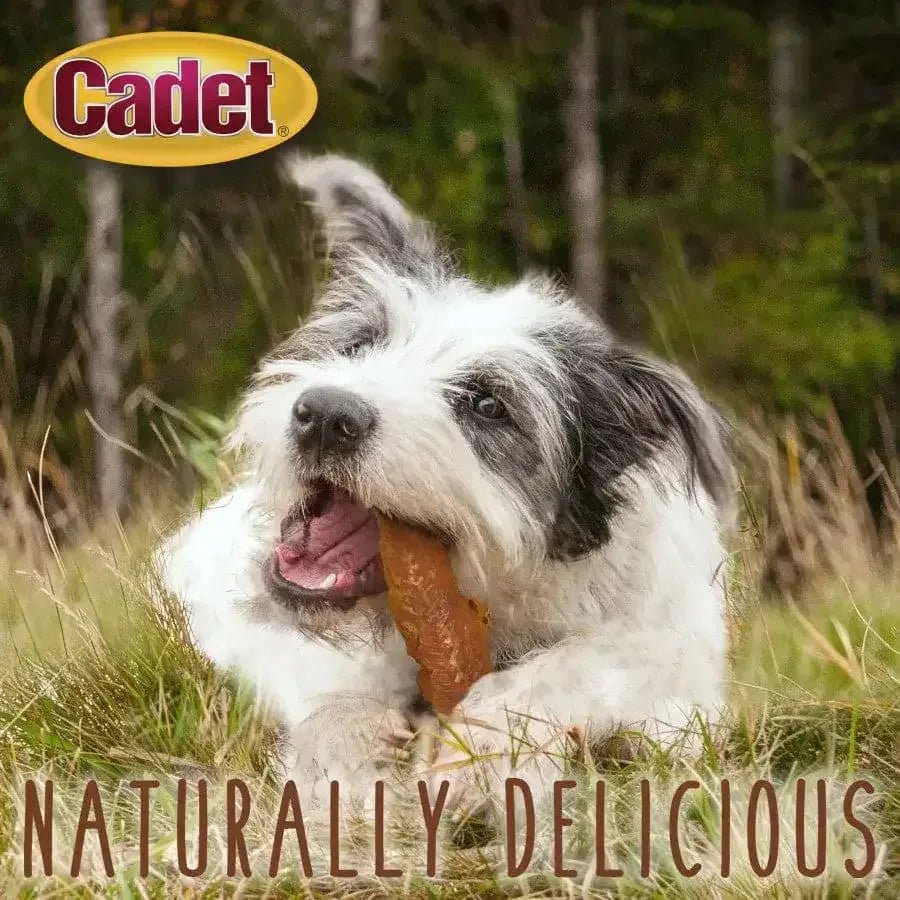 Cadet Gourmet Chicken Breast Dog Treats Breast, Chicken - Talis Us