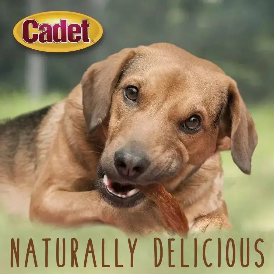 Cadet Gourmet Duck Breast Dog Treats - Talis Us