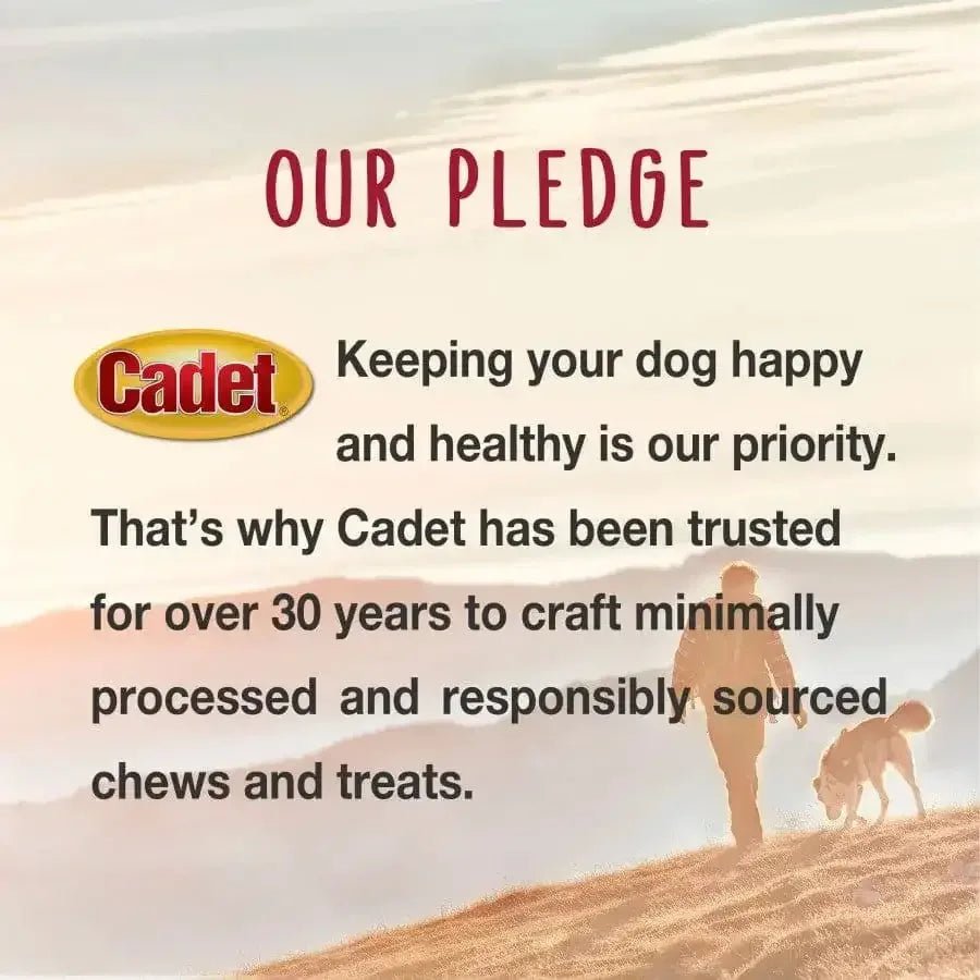 Cadet Gourmet Duck Breast Dog Treats - Talis Us