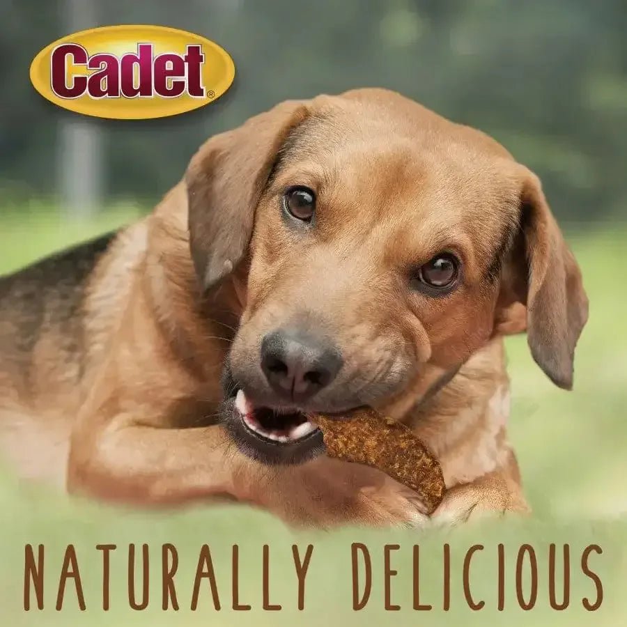 Cadet Gourmet Duck Jerky Dog Treats - Talis Us