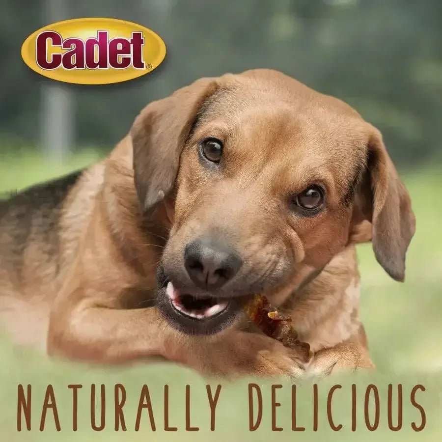 Cadet Gourmet Sweet Potato & Chicken Wrapped Dog Treats - Talis Us