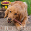 Cadet Large Bully Sticks Long - Lasting Grain - Free Dog Chews - Talis Us