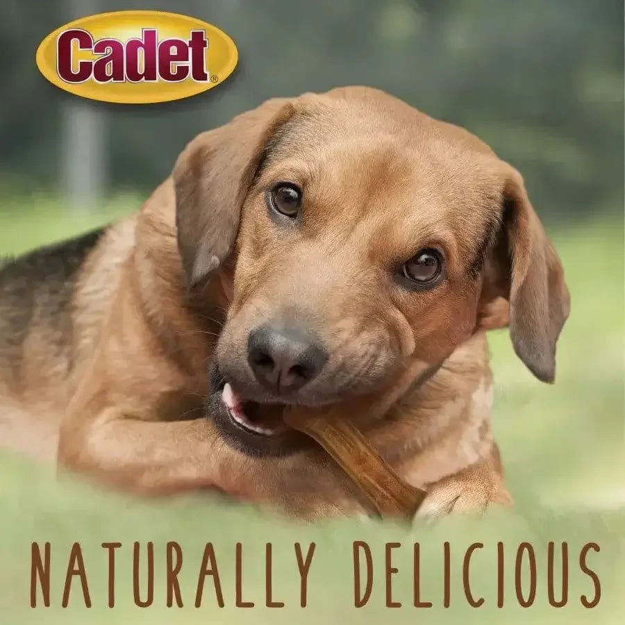 Cadet Premium Grade Pressed Beef Hide Bones Beef - Talis Us
