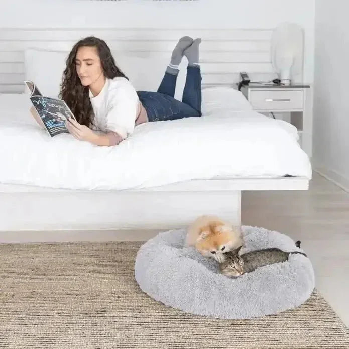 Calming Dog Bed For Large Medium and Small Pets - Talis Us