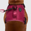 Canada Pooch Complete Control Dog Harness - Talis Us