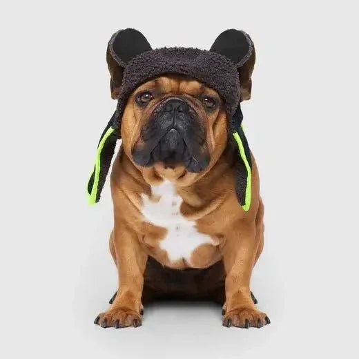 Canada Pooch Cool Factor Aviator Dog Hat - Talis Us