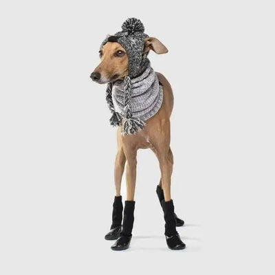 Canada Pooch Dog Slouchy Socks - Talis Us