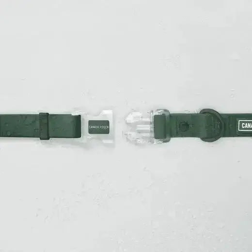 Canada Pooch Dog Waterproof Collar - Talis Us