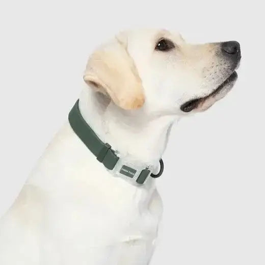 Canada Pooch Dog Waterproof Collar - Talis Us