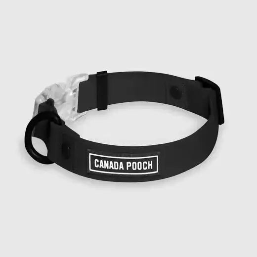 Canada Pooch Dog Waterproof Collar - Talis Us