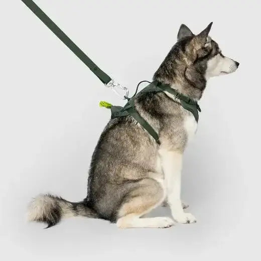 Canada Pooch The Everything Harness with Poop Dispenser - Talis Us