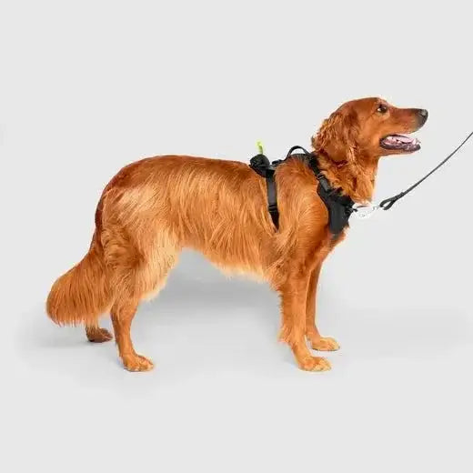 Canada Pooch The Everything Harness with Poop Dispenser - Talis Us