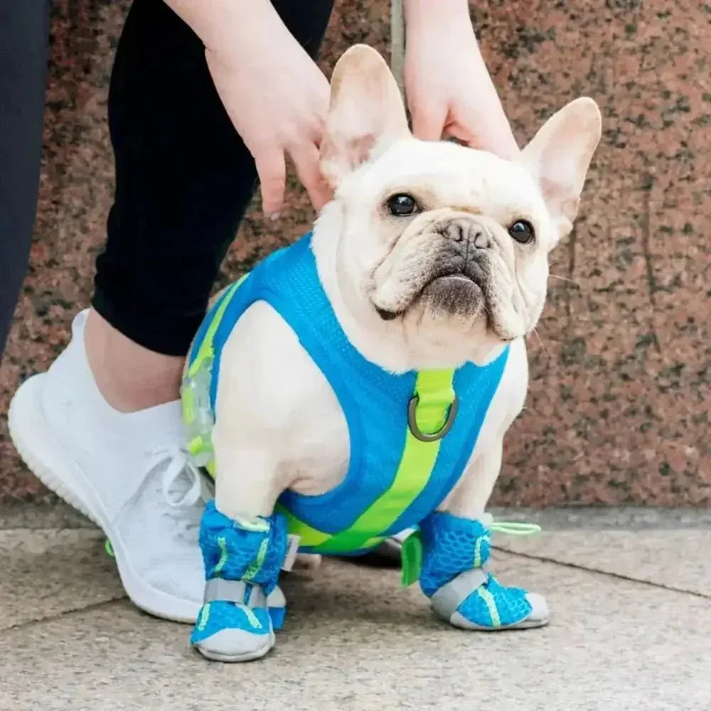 Canada Pooch Hot Pavement Dog Boots - Talis Us