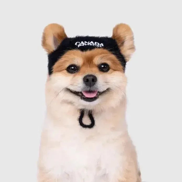 Canada Pooch Pawparazzi Dog Beanie - Talis Us