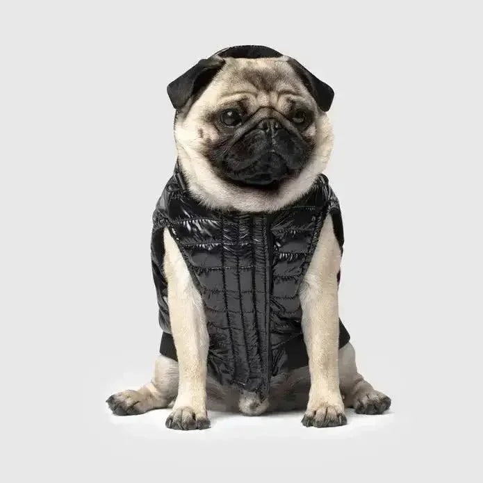 Canada Pooch Shiny Dog Puffer Vest - Talis Us