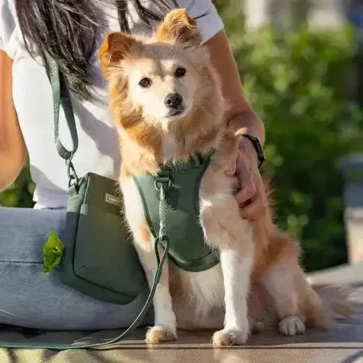 Canada Pooch The Everything Harness with Poop Dispenser - Talis Us