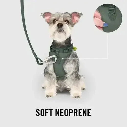 Canada Pooch The Everything Harness with Poop Dispenser - Talis Us