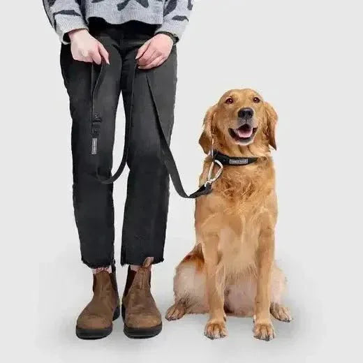 Canada Pooch Waterproof Dog Leash - Talis Us