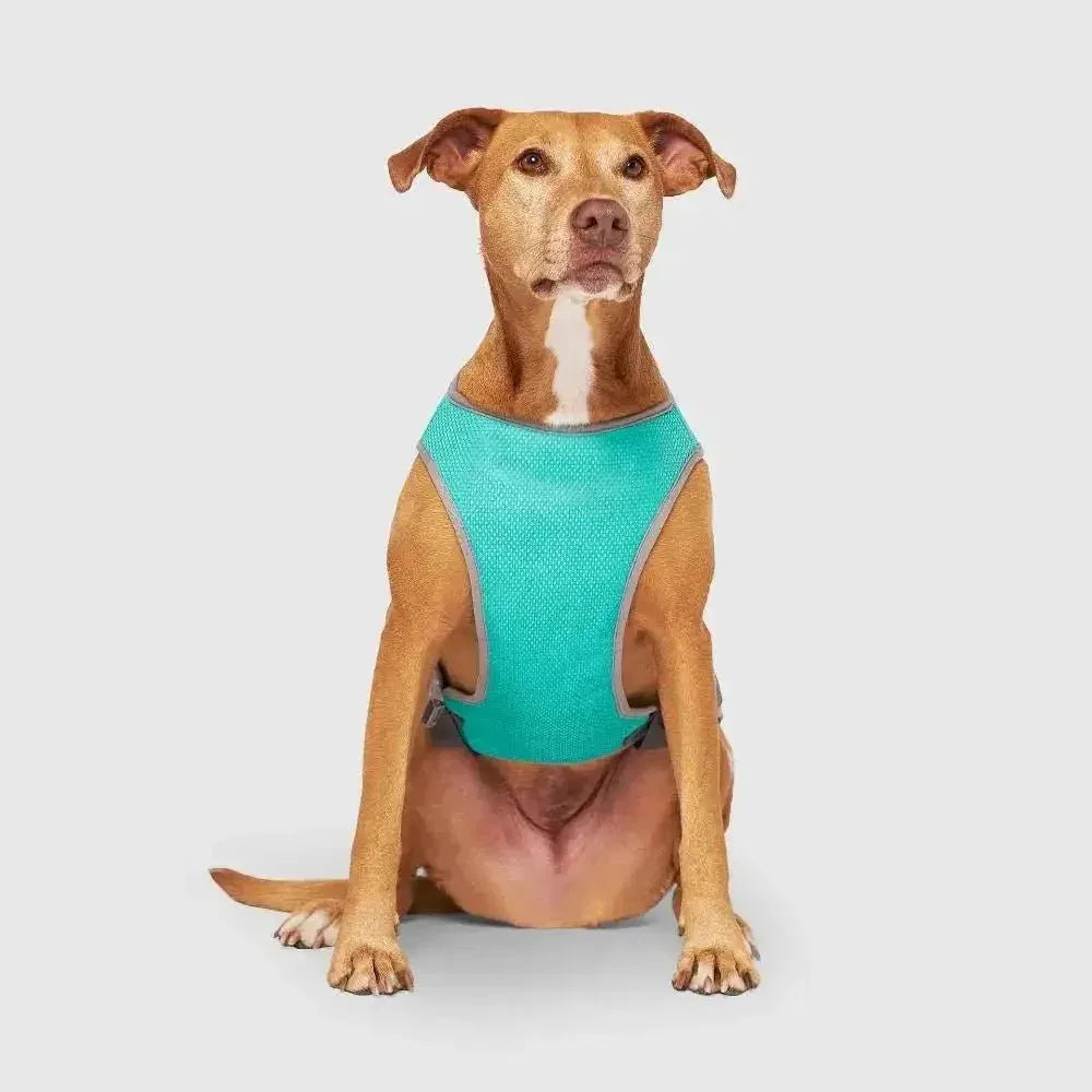 Canada Pooch Wet Reveal Smiley Cooling Dog Vest - Talis Us