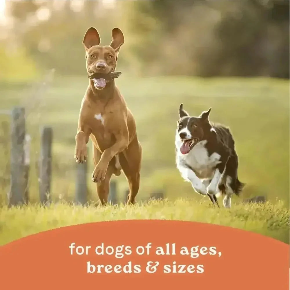 CANIDAE All Life Stages Chunky Stew Toppers Wet Dog Food 6ea/12.7 oz - Talis Us